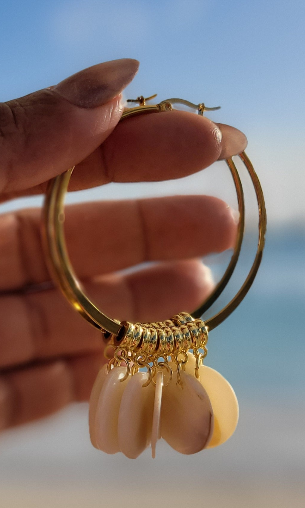 Hope will circle shells – AYA STYLER